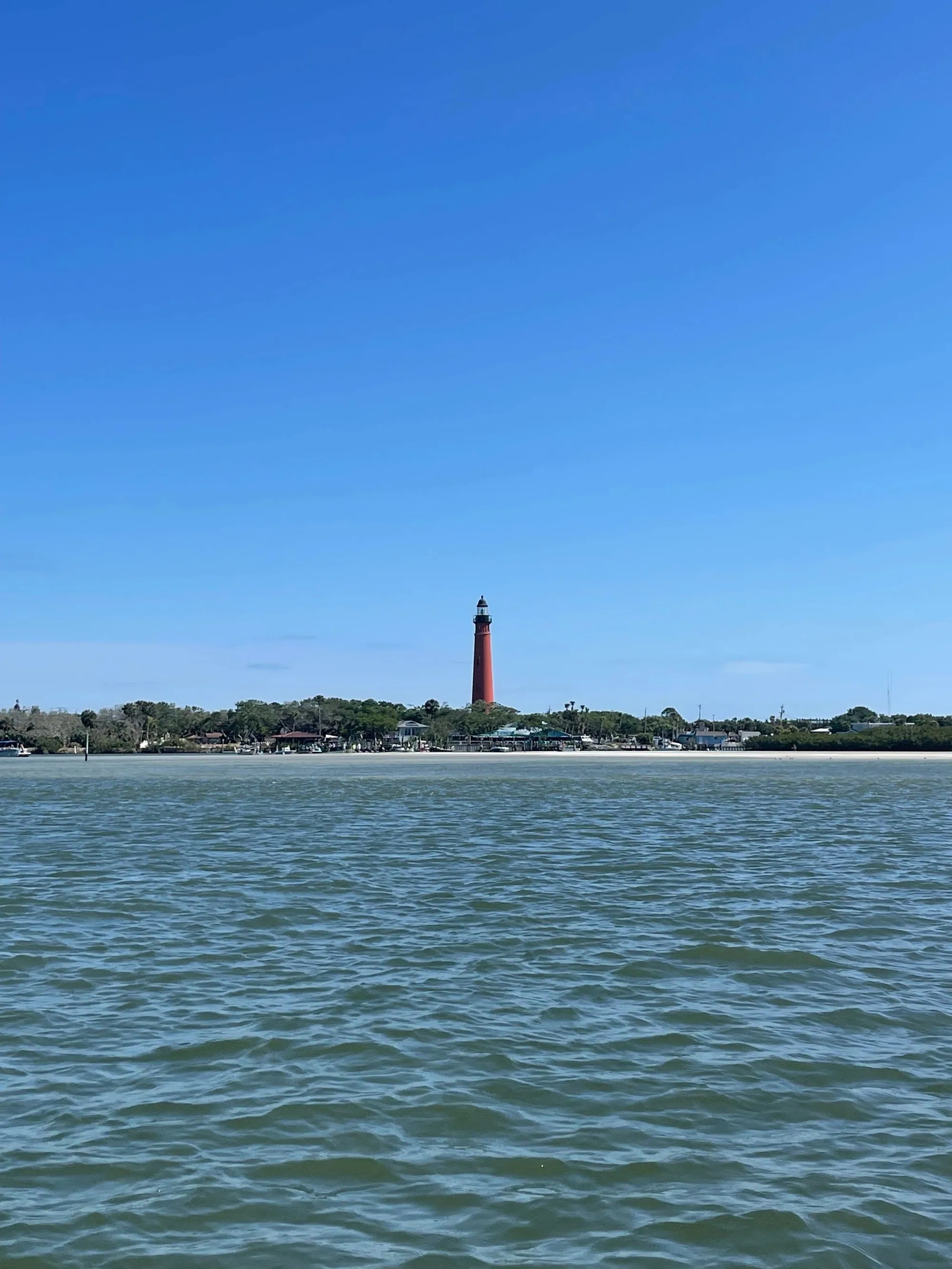 Group catch day — multiple redfish boated from the Contender
