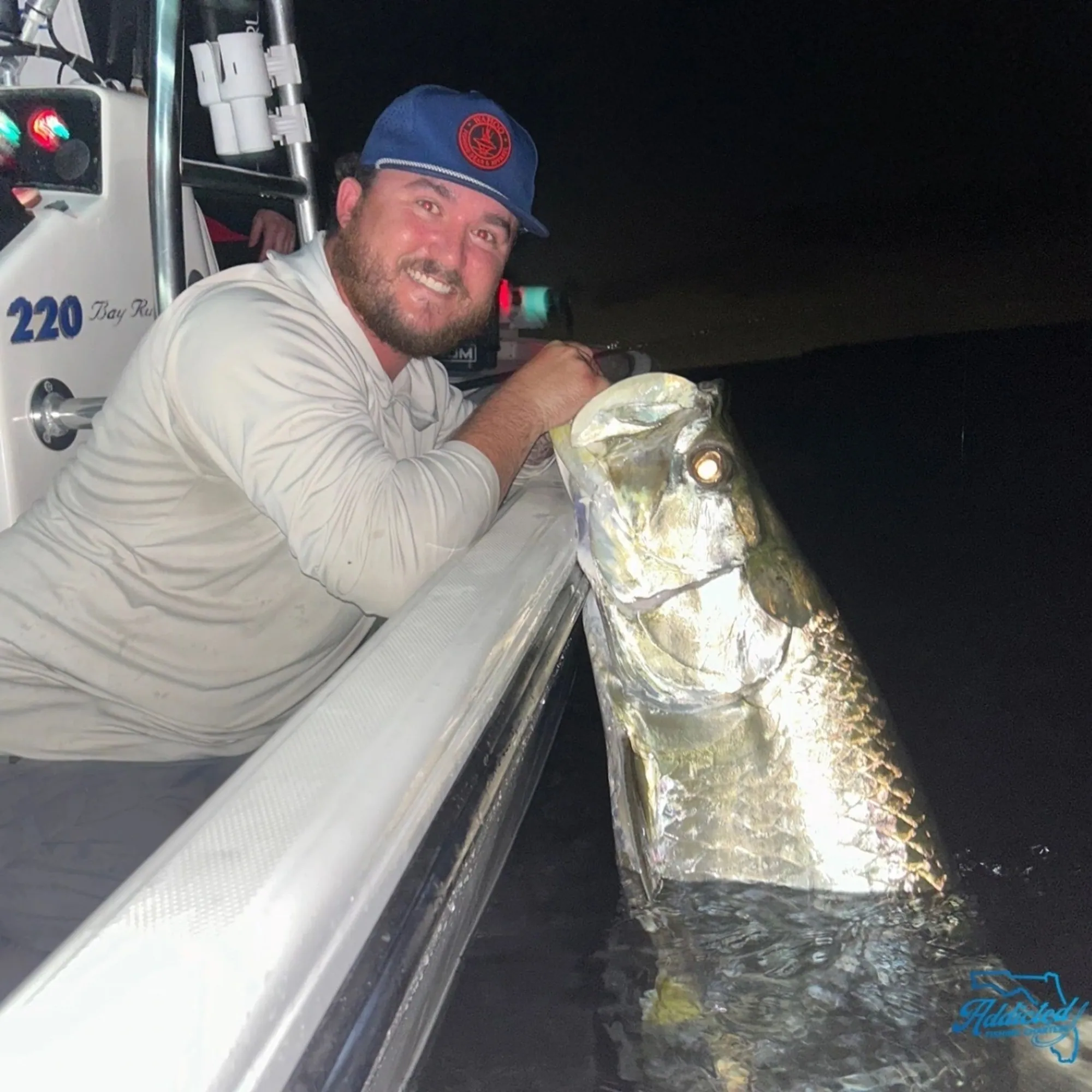 Summer tarpon rolling in Ponce Inlet